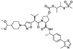 Figure BDA0004113777320001311