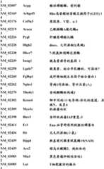 Figure BDA0000057170160000581