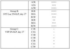 Figure imgf000131_0001
