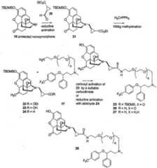 Figure 112005061371085-PCT00006