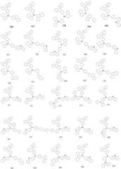 Figure FDA0002697681650000091