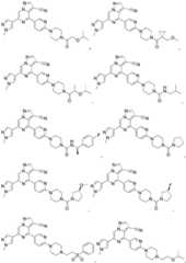 Figure FDA0003426162430000051