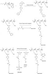 Figure imgf000032_0001