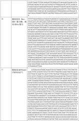 Figure BDA0002317806370000571