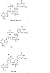 Figure 0007317014000160