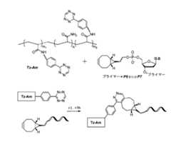 Figure 0007095041000074