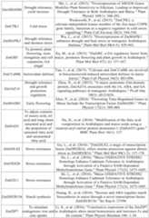 Figure PCTCN2022090268-appb-000042