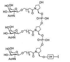 Figure 0007429103000370