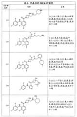 Figure G2007800513551D01441