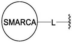 Figure BDA0003783300830001133