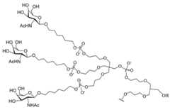 Figure 2023113843000188