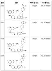 Figure 106108622-A0304-12-0160-468