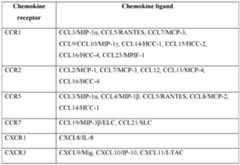 Figure imgf000014_0001