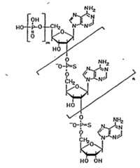 Figure imgf000065_0001