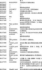 Figure BDA0000057170160000481