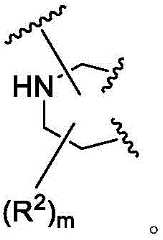 Figure BDA0003783300830000821