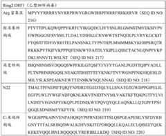 Figure BDA0004078918960001031