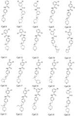 Figure 112007005999643-pct00012