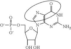Figure US10501513-20191210-C00093