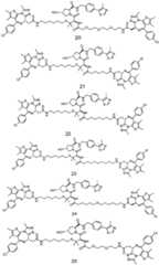 Figure BDA0002642358900000481