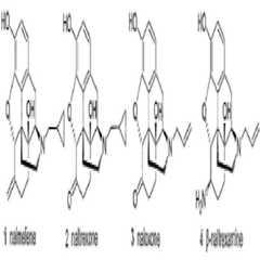 Figure 112005061371085-PCT00001