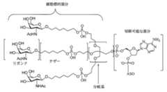 Figure 0007429103000214