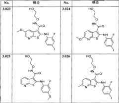 Figure 0007576799000070