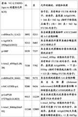 Figure BDA0001349734580001591