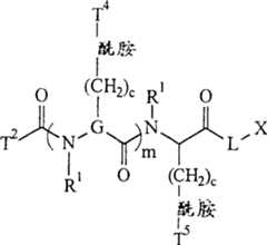 Figure A20041000278600412