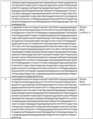 Figure imgf000028_0001