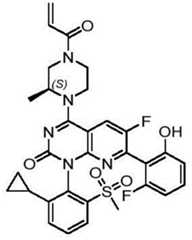 Figure BDA0002861043520000731