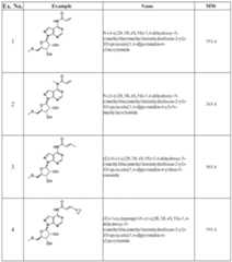 Figure imgf000048_0001
