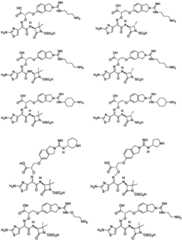 Figure FDA0003806534530000151