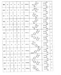 Figure A20081018956901251