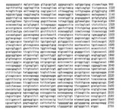 Figure 104109152-A0305-02-0145-42