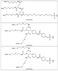 Figure 112019068966852-pct00039