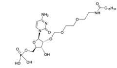 Figure 112117718-A0304-13-0018-135