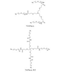 Figure 0007704732000020