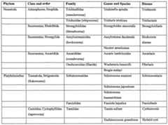 Figure imgf000012_0001