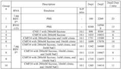 Figure imgf000086_0001