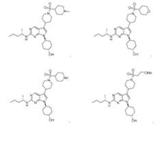 Figure imgf000042_0002