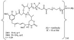 Figure imgf000166_0003