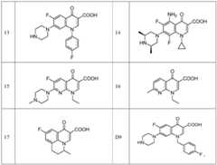 Figure BDA0001398004820000081