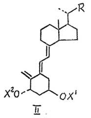 Figure imgf000005_0002