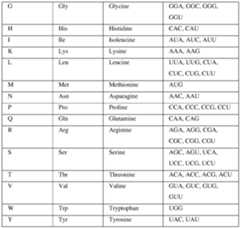 Figure imgf000041_0001