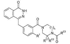 Figure 112005050535669-pct00027