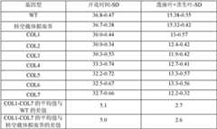 Figure BDA00003066624500061