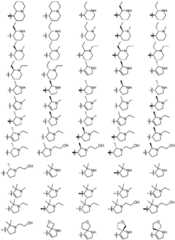 Figure FDA0003344994040000061