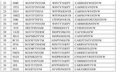 Figure BDA0003429348370000541