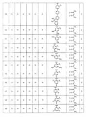 Figure A20081018956900611